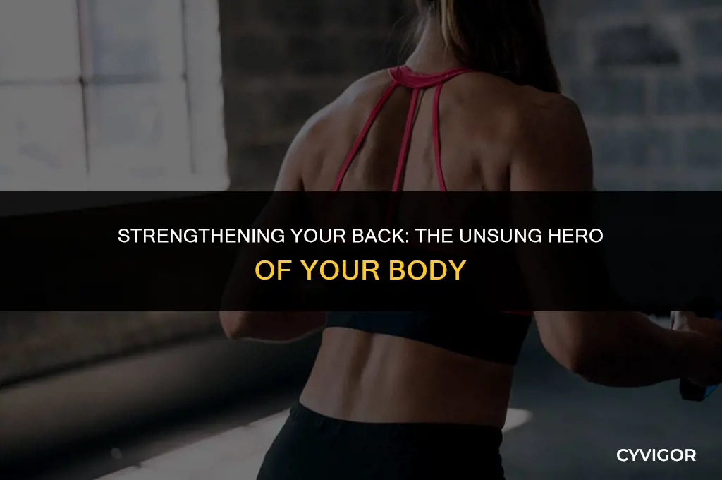 how imprtant is back muscle