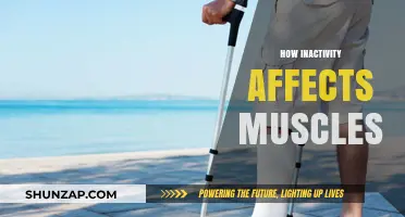 The Hidden Impact: How Inactivity Affects Your Muscles