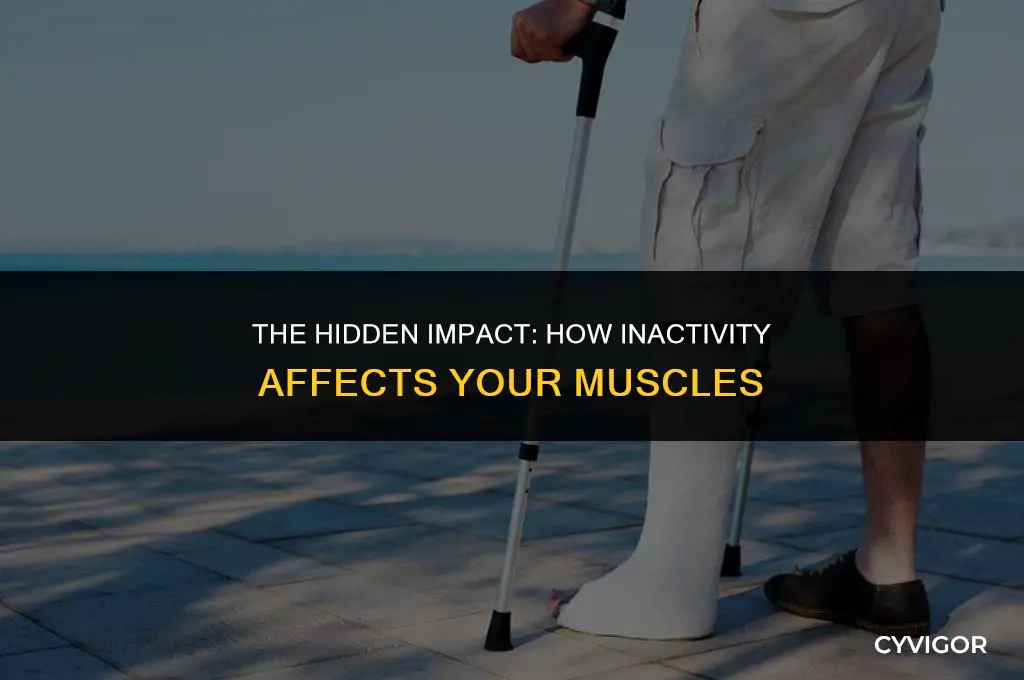 how inactivity affects muscles