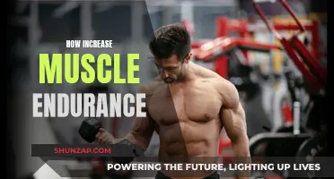 Building Muscle Endurance: Strategies for Unlocking Performance