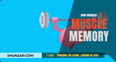 Mastering Muscle Memory: Techniques to Enhance Your Body's Learning