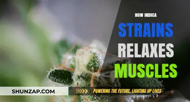 Unwind Naturally: How Indica Strains Soothe and Relax Muscles