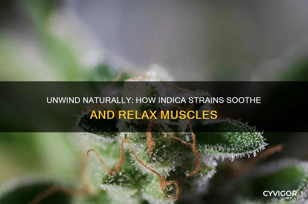 how indica strains relaxes muscles