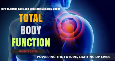 The Ripple Effect: Back and Shoulder Injuries on Overall Body Function
