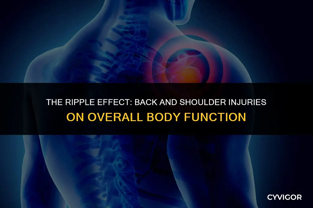 how injuring back and shoulder muscles affect total body function