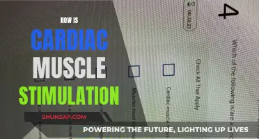 Stimulating Cardiac Muscle: Exploring the Intricacies of Heart Health