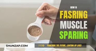 Fasting: Muscle-Sparing Benefits and Strategies for Success