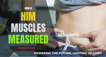 Exploring the Science of Muscle Measurement
