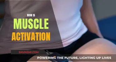 Understanding Muscle Activation: Unlocking the Power Within