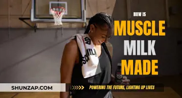 Muscle Milk's Making: A Quick Guide