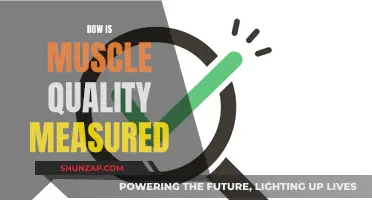 Measuring Muscle Quality: What's the Best Way?