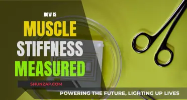 Measuring Muscle Stiffness: Techniques and Tools for Assessment