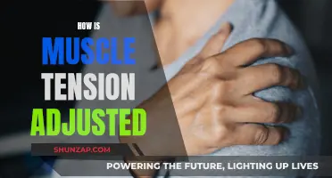 Understanding Muscle Tension: Techniques for Adjustment and Relief