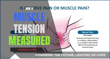 Measuring Muscle Tension: Understanding the Science Behind It