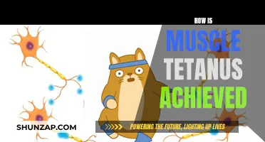 Understanding Muscle Tetanus: Causes and Triggers
