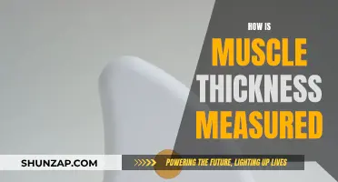 Measuring Muscle Thickness: Techniques and Tools for Accuracy