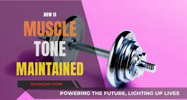 Maintaining Muscle Tone: Tips for a Healthy Body