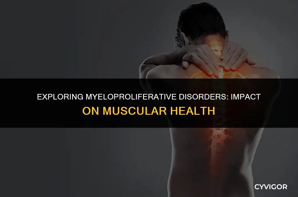 how is myeloproliferative affect muscles
