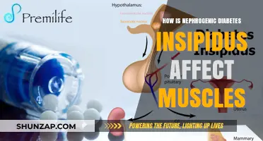 Exploring the Impact of Nephrogenic Diabetes Insipidus on Muscle Health