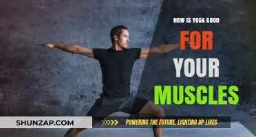 Yoga's Muscle Benefits: Strength, Flexibility, and Recovery Explained