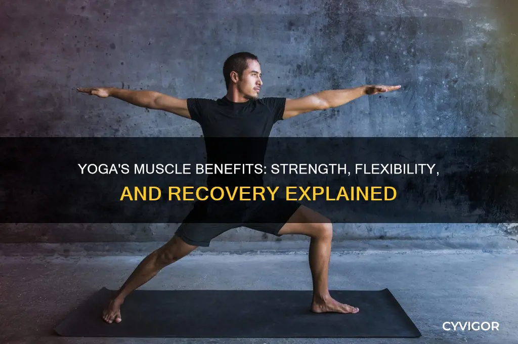 how is yoga good for your muscles