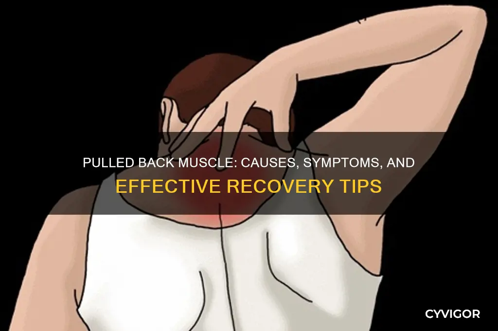 how is your pulled muscle in your back