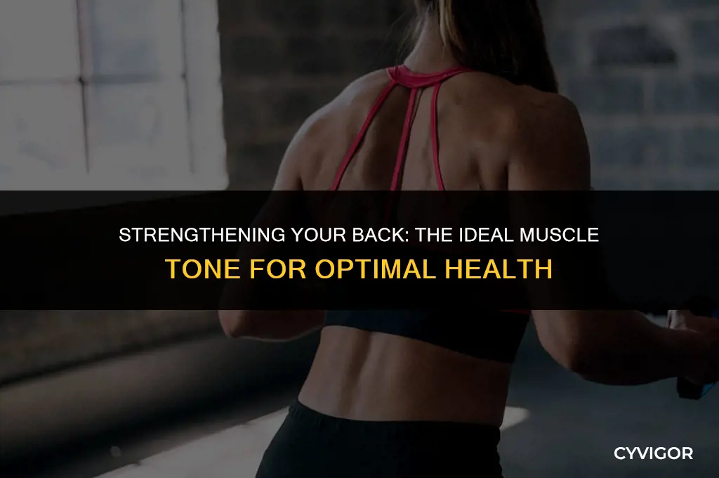 how jard should your back muscles be