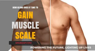 Muscle Building Timeline: Factors Affecting Your Gain Scale Journey