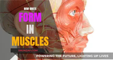 Understanding Muscle Knots: Causes and Prevention