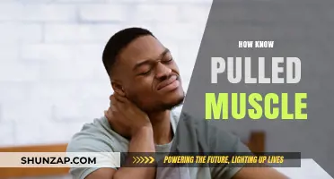 Identifying a Pulled Muscle: Symptoms, Causes, and Quick Recovery Tips