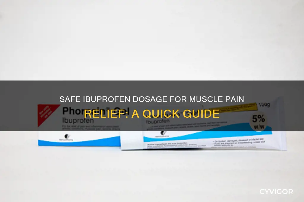 how kuch ibprofen should i take for muscle pains