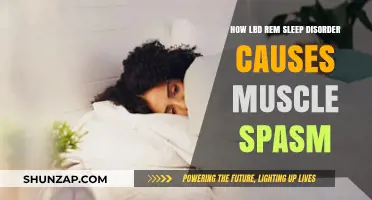 Linking LBD, REM Sleep, and Muscle Spasms