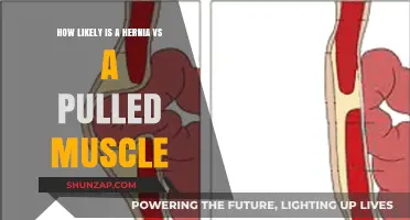 Hernia or Pulled Muscle: Understanding Symptoms and Key Differences