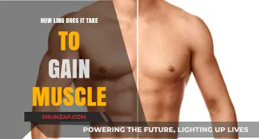 Muscle Building Timeline: Factors Affecting Your Gain Speed Revealed