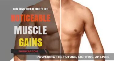 How Long Until You See Noticeable Muscle Gains? A Timeline