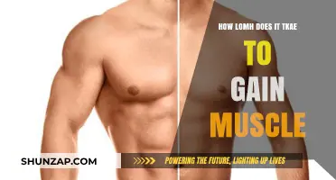 How Long Does It Take to Gain Muscle: A Comprehensive Guide