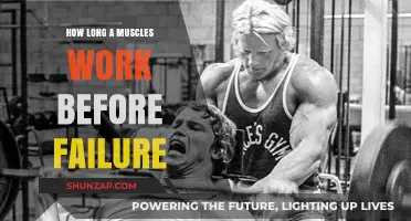 Muscle Endurance: Understanding Time to Failure and Training Strategies