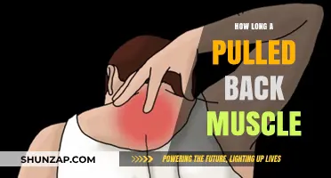 Pulled Back Muscle Recovery Time: What to Expect and How to Heal