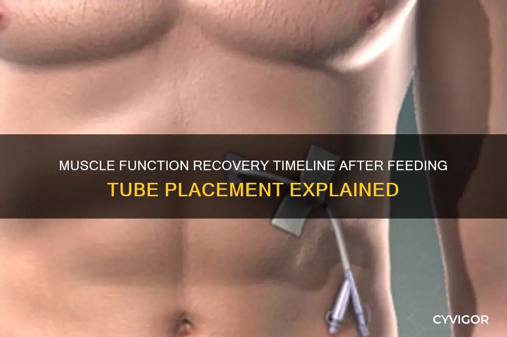 how long after a feeding tube do you muscles work