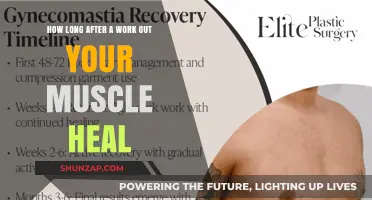 Muscle Recovery Timeline: How Long Do Muscles Heal Post-Workout?