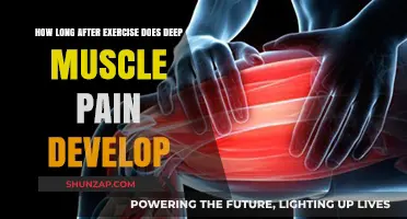 When Does Deep Muscle Pain Set In After Working Out?