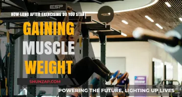 Muscle Growth Timeline: When Does Exercise Start Building Mass?