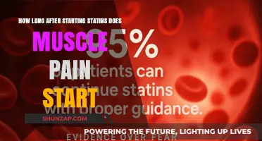 When Does Muscle Pain Begin After Starting Statins?