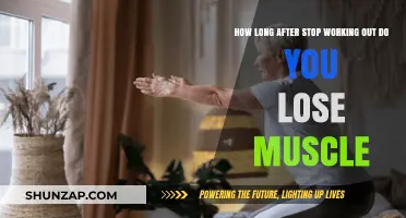 Muscle Loss Timeline: How Quickly Does Strength Fade Post-Workout?