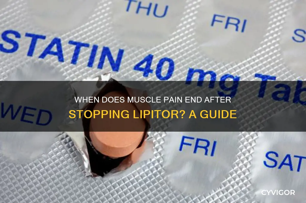 how long after stopping lipitor does muscle pain stop