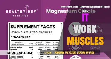Magnesium Citrate for Muscle Relief: Timing and Effectiveness Explained