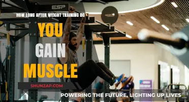 Muscle Growth Timeline: When to Expect Gains Post-Weight Training