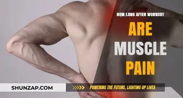 Post-Workout Muscle Pain: Understanding Delayed Onset Soreness Duration