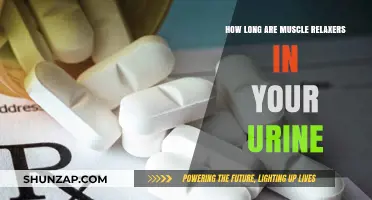 How Long Do Muscle Relaxers Stay Detectable in Your Urine?