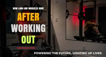 Understanding Post-Workout Muscle Soreness Duration and Recovery Tips